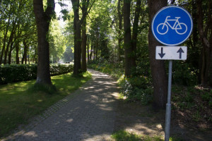 PvdA voert samen met bewoners Hunebedstraat actie voor beter fietspad